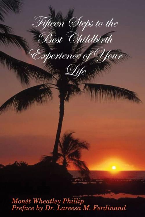 Cover of the book Fifteen Steps to the Best Childbirth Experience of Your Life by Monét Wheatley Phillip, Lulu.com