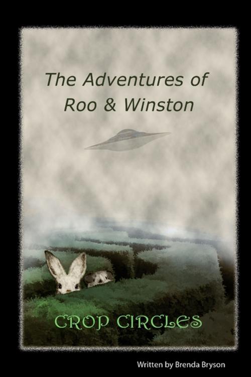 Cover of the book The Adventures of Roo & Winston : Crop Circles by Brenda Bryson, Lulu.com