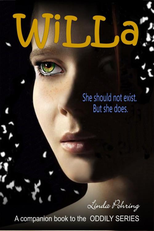 Cover of the book Willa by Linda Pohring, Linda Pohring