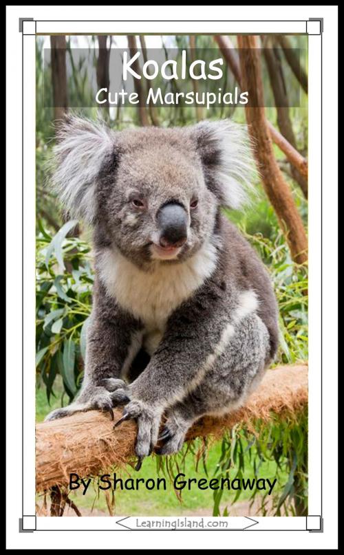 Cover of the book Koalas: Cute Marsupials by Sharon Greenaway, LearningIsland.com