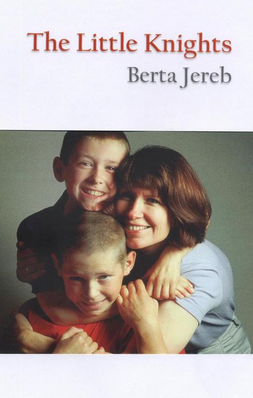 Cover of the book The Little Knights by Berta Jereb, Berta Jereb