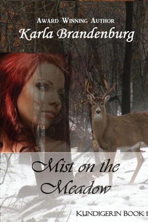 Cover of the book Mist on the Meadow by Karla Brandenburg, Karla Brandenburg