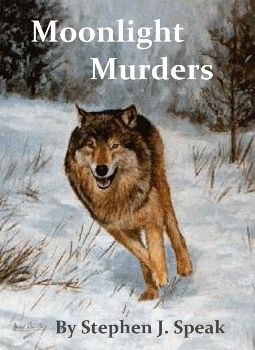 Cover of the book Midnight Murders by Stephen J. Speak, Stephen J. Speak