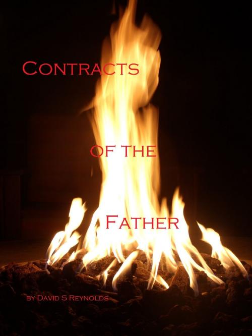 Cover of the book Contracts of the Father by David S Reynolds, Renaissance Redneck Media