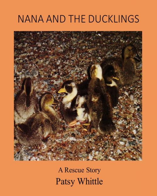 Cover of the book Nana and The Ducklings by Patsy Whittle, Patsy Whittle