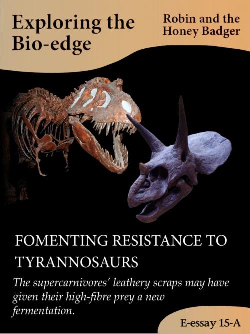 Cover of the book Fomenting Resistance To Tyrannosaurs by Robin and the Honey Badger, Robin and the Honey Badger