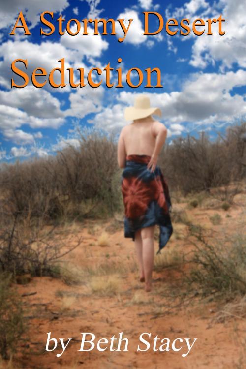 Cover of the book A Stormy Desert Seduction by Elizabeth Stacy, Bruce Alan Jensen