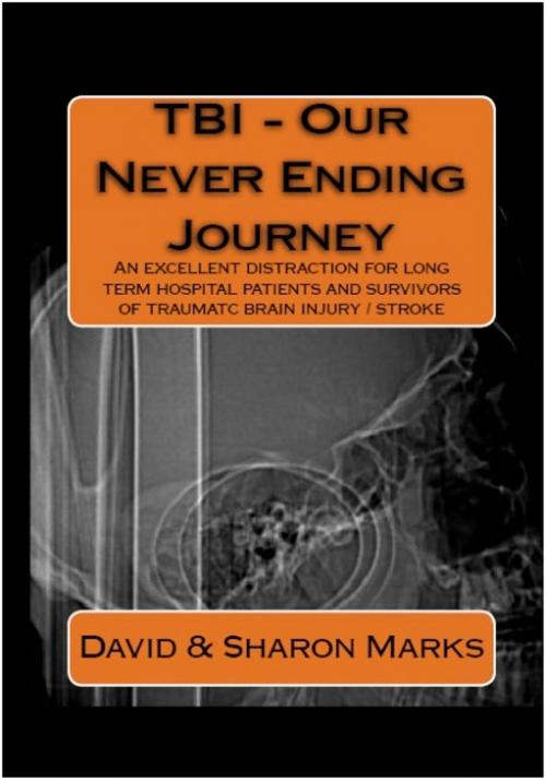 Cover of the book TBI: Our Never Ending Journey by David Marks, David Marks