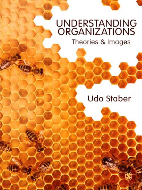 Cover of the book Understanding Organizations by Udo Staber, SAGE Publications