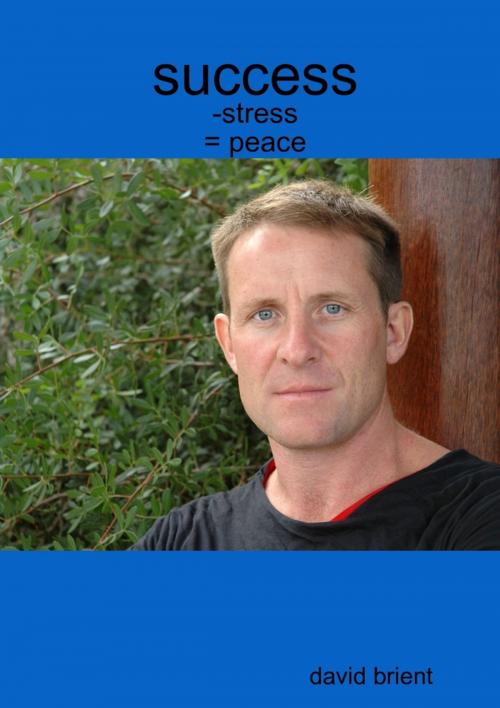 Cover of the book Success - Stress = Peace by David Brient, Lulu.com