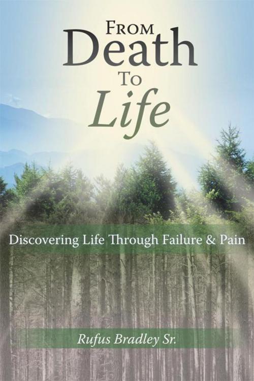 Cover of the book From Death to Life by Rufus Bradley Sr., WestBow Press