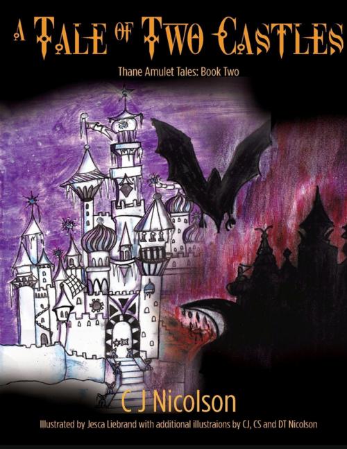 Cover of the book A Tale of Two Castles: Thane Amulet Tales Book Two by CJ Nicolson, Lulu.com