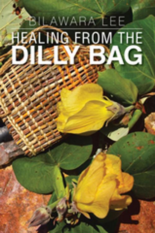 Cover of the book Healing from the Dilly Bag by Bilawara Lee, Xlibris AU