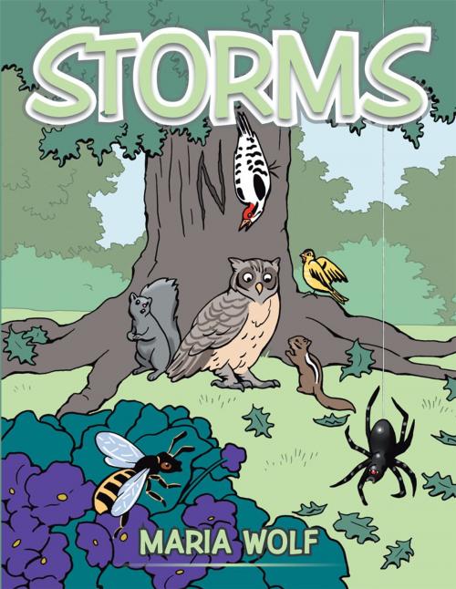 Cover of the book Storms by Maria Wolf, AuthorHouse