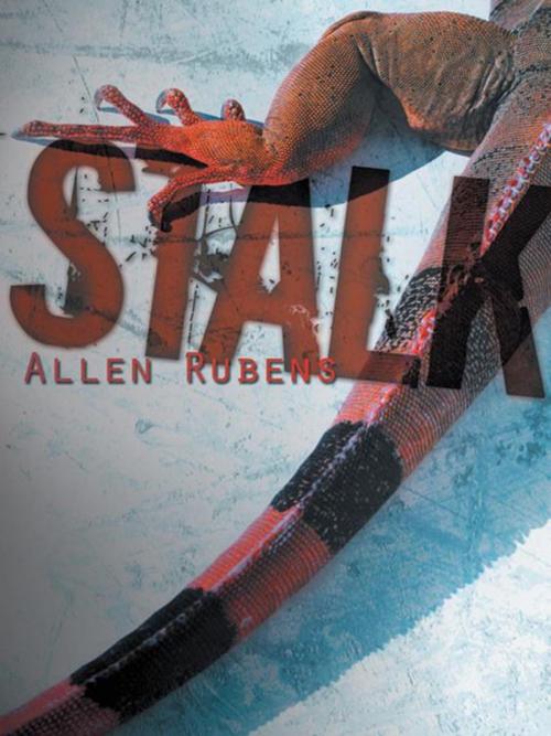 Cover of the book Stalk by Allen Rubens, AuthorHouse