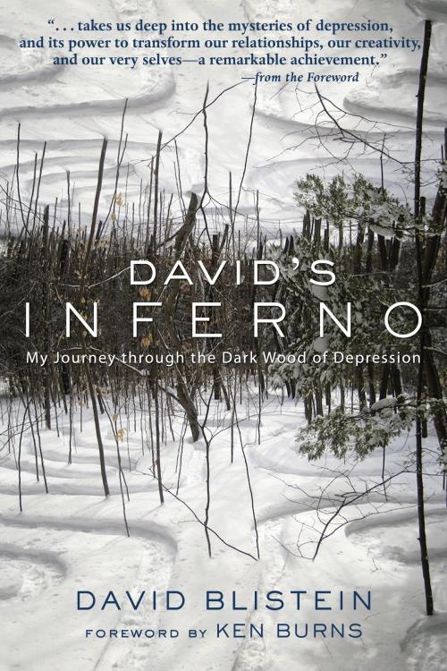 Cover of the book David's Inferno by David Blistein, Hatherleigh Press