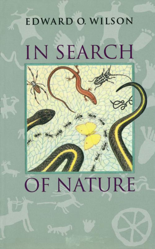 Cover of the book In Search of Nature by Edward O. Wilson, Island Press