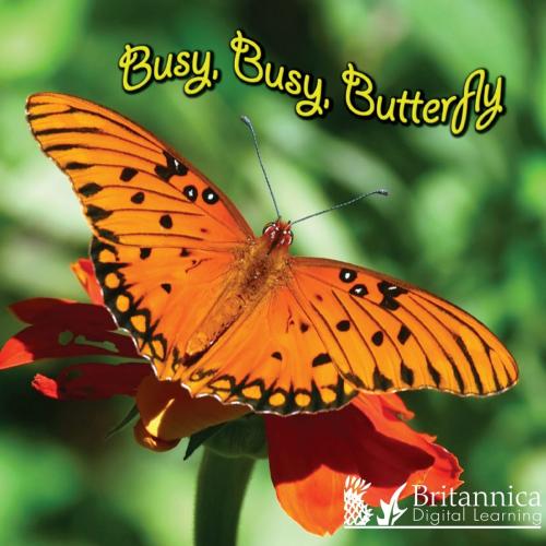 Cover of the book Busy, Busy, Butterfly by Molly Carroll and Kelli L. Hicks, Britannica Digital Learning