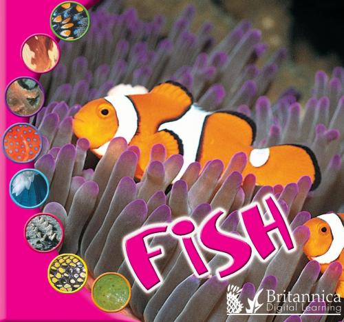 Cover of the book Fish by Ted O'Hare, Britannica Digital Learning