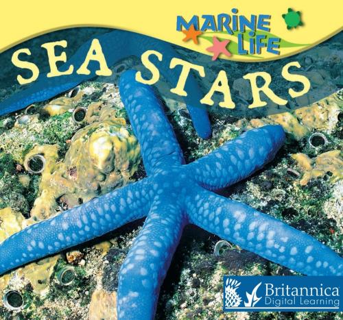 Cover of the book Sea Stars by Lynn M. Stone, Britannica Digital Learning