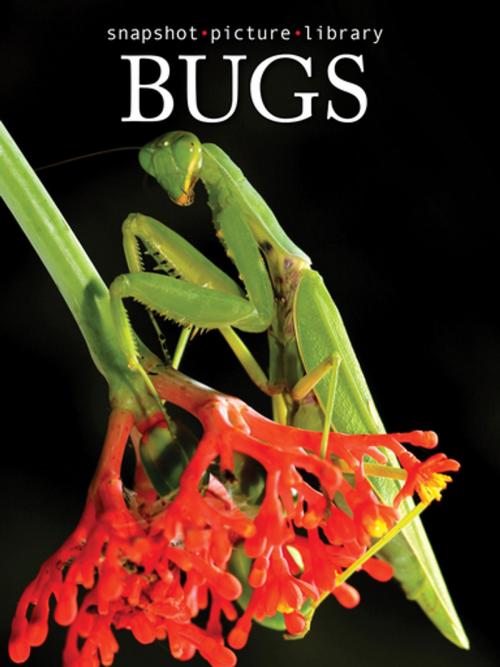 Cover of the book Bugs by Snapshot Picture Library, Weldon Owen