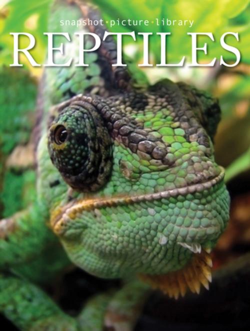Cover of the book Reptiles by Snapshot Picture Library, Weldon Owen