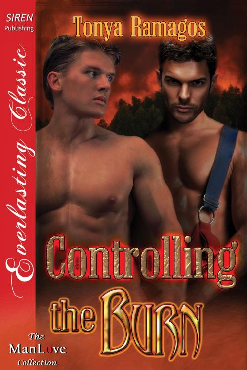 Cover of the book Controlling the Burn by Tonya Ramagos, Siren-BookStrand