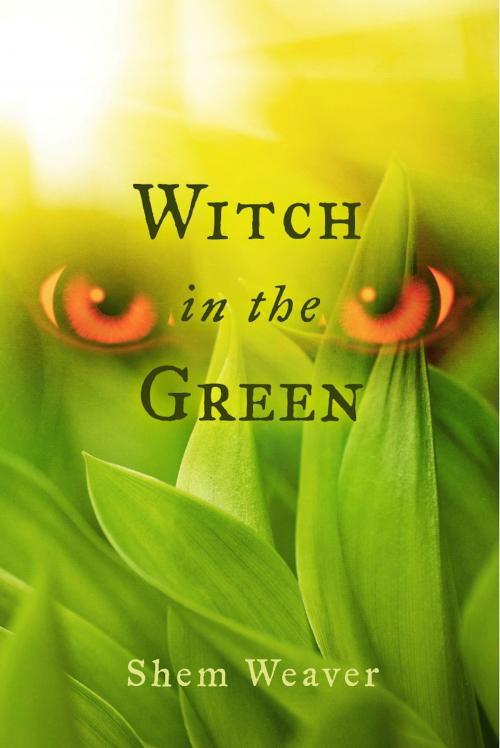 Cover of the book Witch in the Green by Shem Weaver, BookBaby