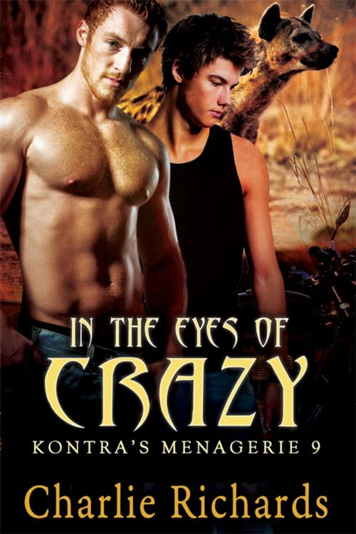 Cover of the book In the Eyes of Crazy by Charlie Richards, eXtasy Books Inc
