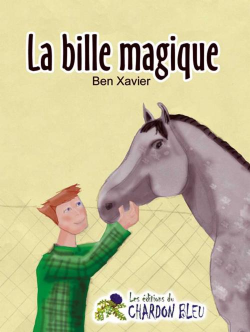 Cover of the book La bille magique by Ben Xavier, Le Chardon Bleu