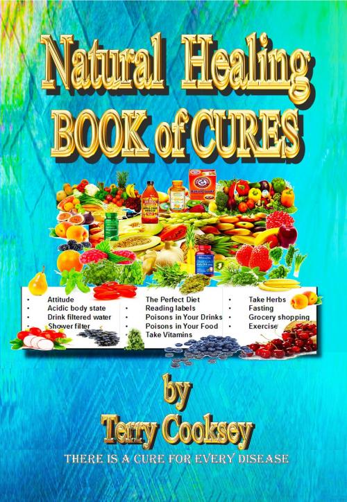 Cover of the book Natural Healing BOOK of CURES by Terry Cooksey, American Publishing US