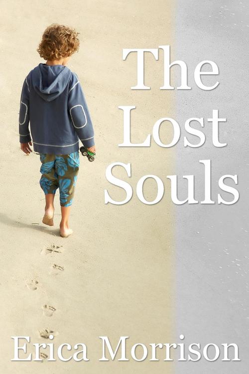 Cover of the book The Lost Souls by Erica  Morrison, Osmora Inc.