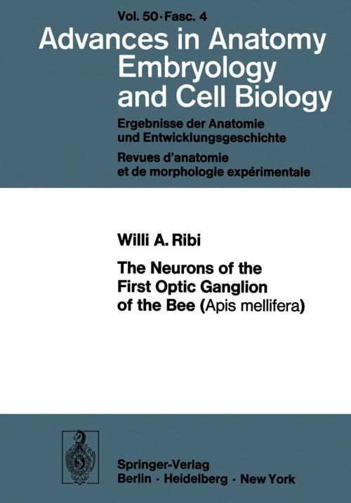 Cover of the book The Neurons of the First Optic Ganglion of the Bee (Apis mellifera) by W.A. Ribi, Springer Berlin Heidelberg