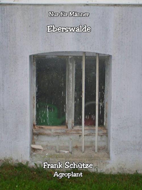 Cover of the book Eberswalde, (Reihe: Nur für Männer!), by Frank Schütze, Agroplant