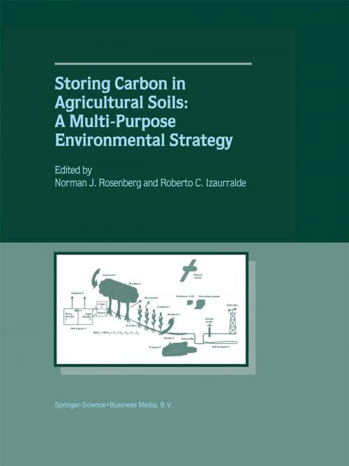 Cover of the book Storing Carbon in Agricultural Soils by , Springer Netherlands