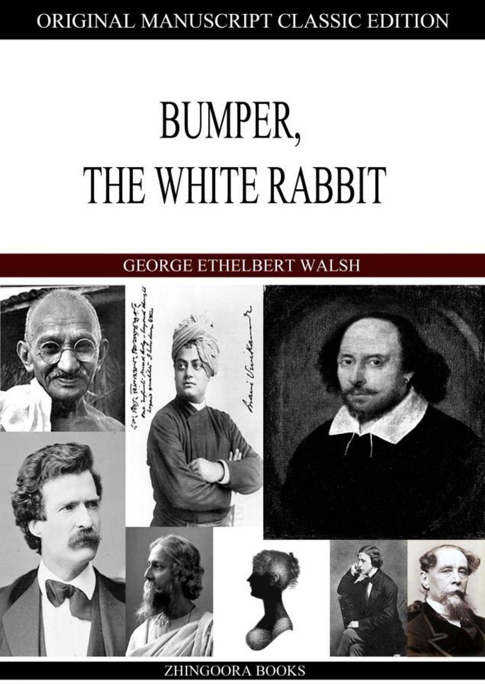 Big bigCover of Bumper, The White Rabbit