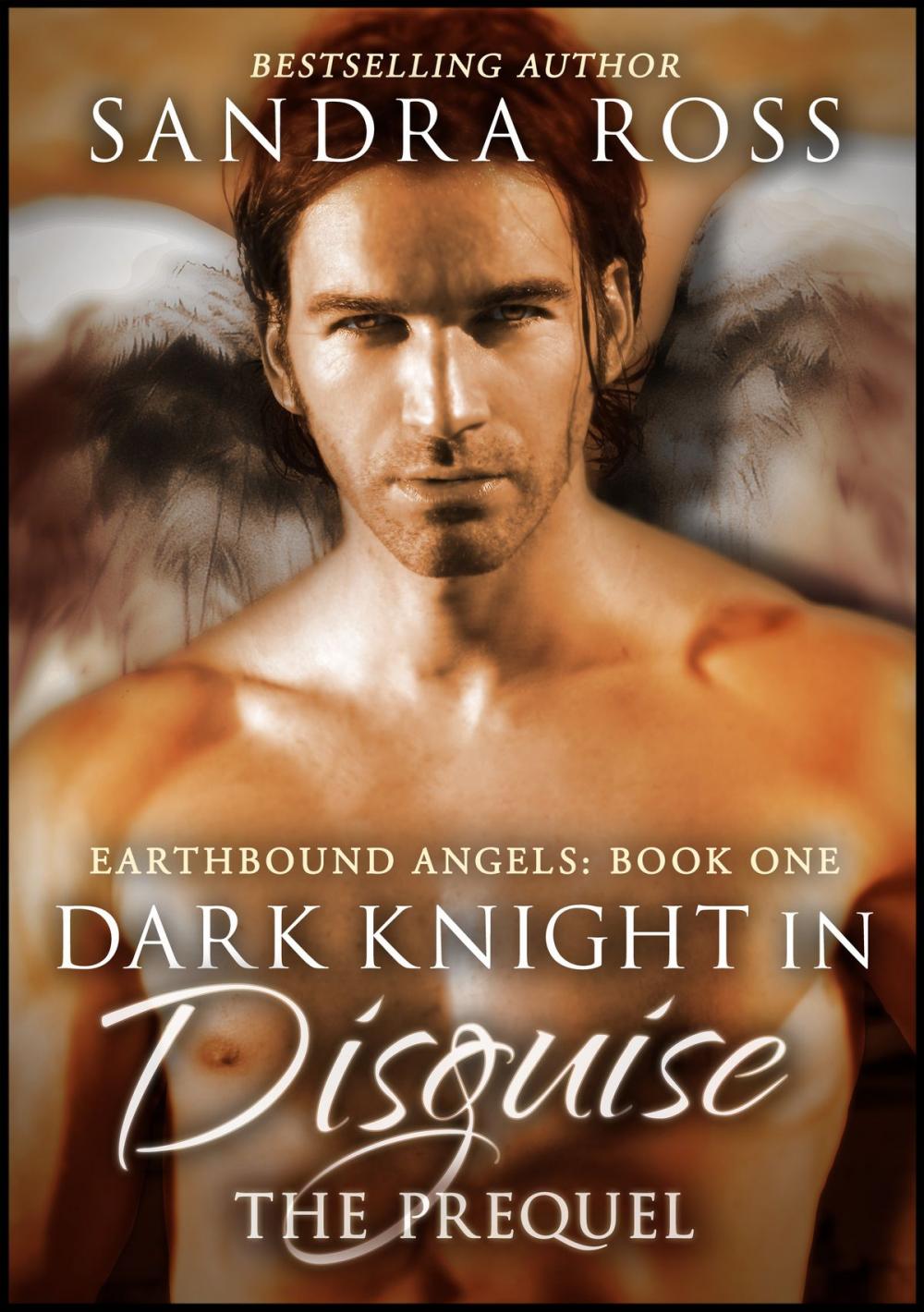 Big bigCover of Dark Knight in Disguise, The Prequel