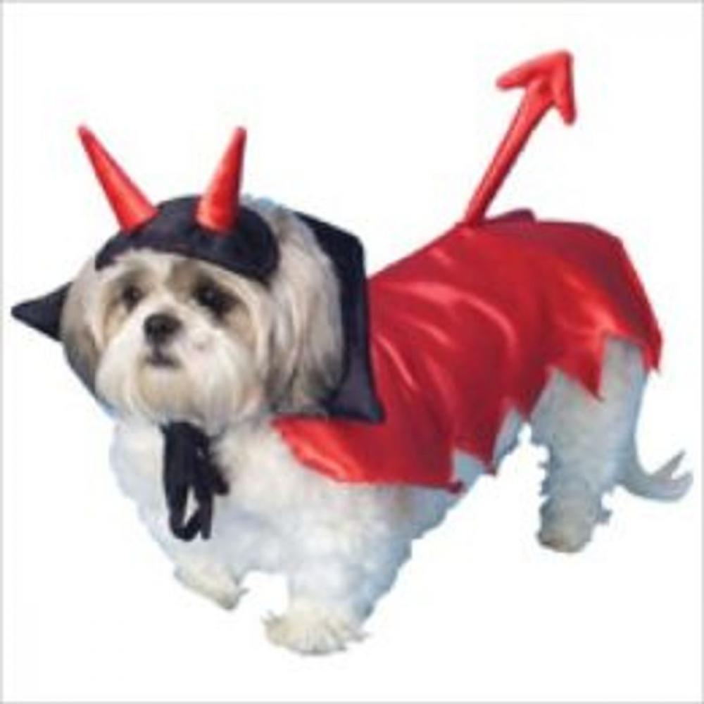 Big bigCover of Popular Pet Halloween Costumes