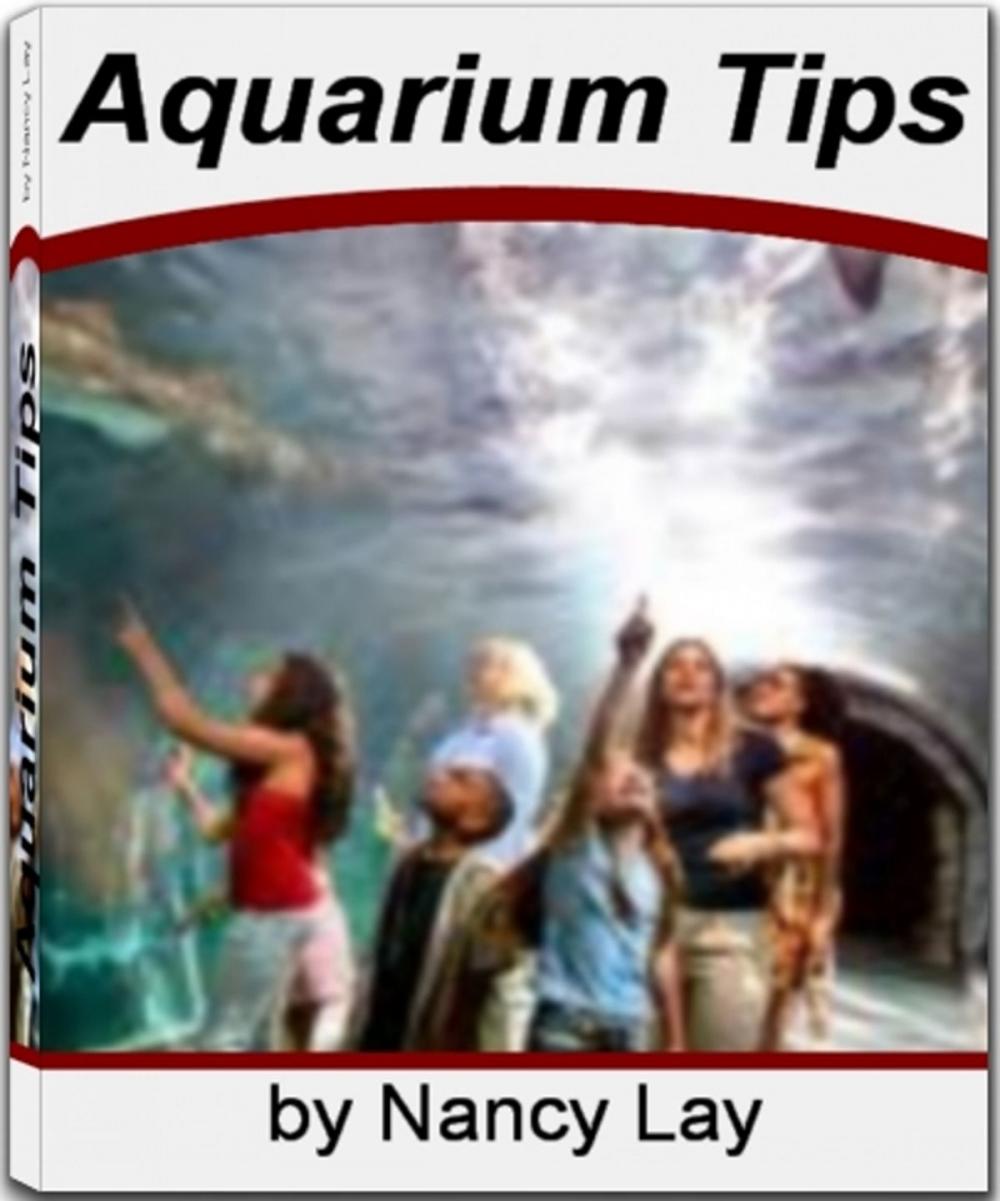 Big bigCover of Aquarium Tips