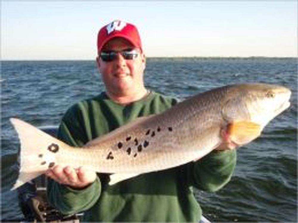 Big bigCover of Redfish Fishing For Beginners