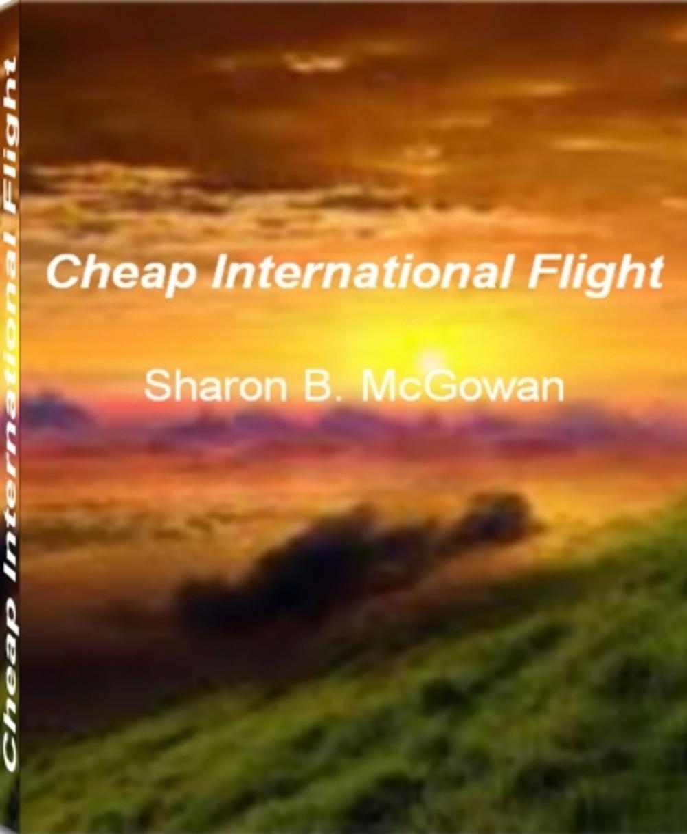 Big bigCover of Cheap International Flight