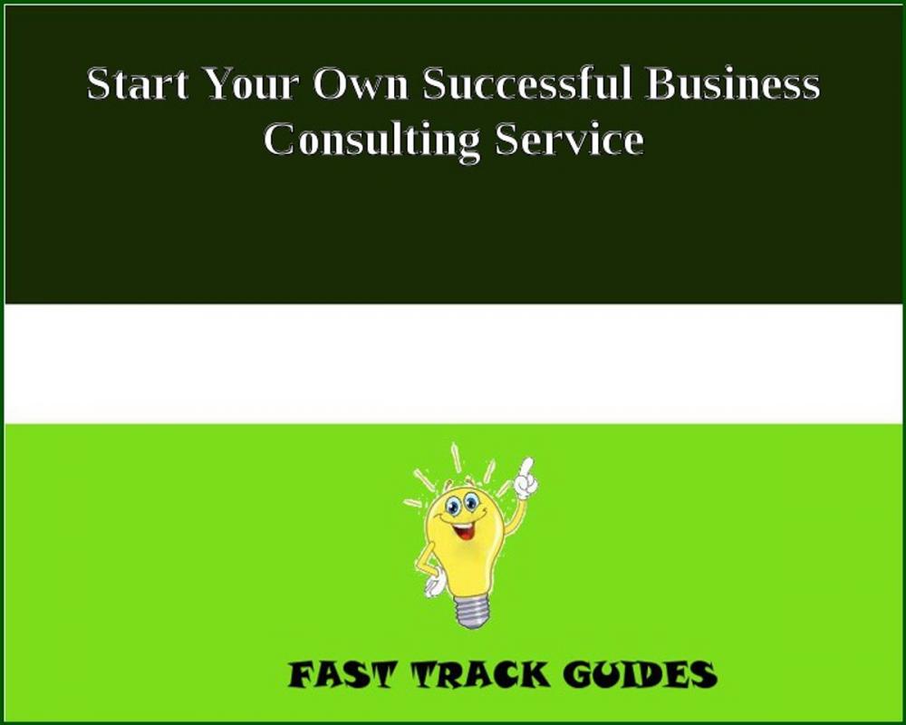 Big bigCover of Start Your Own Successful Business Consulting Service