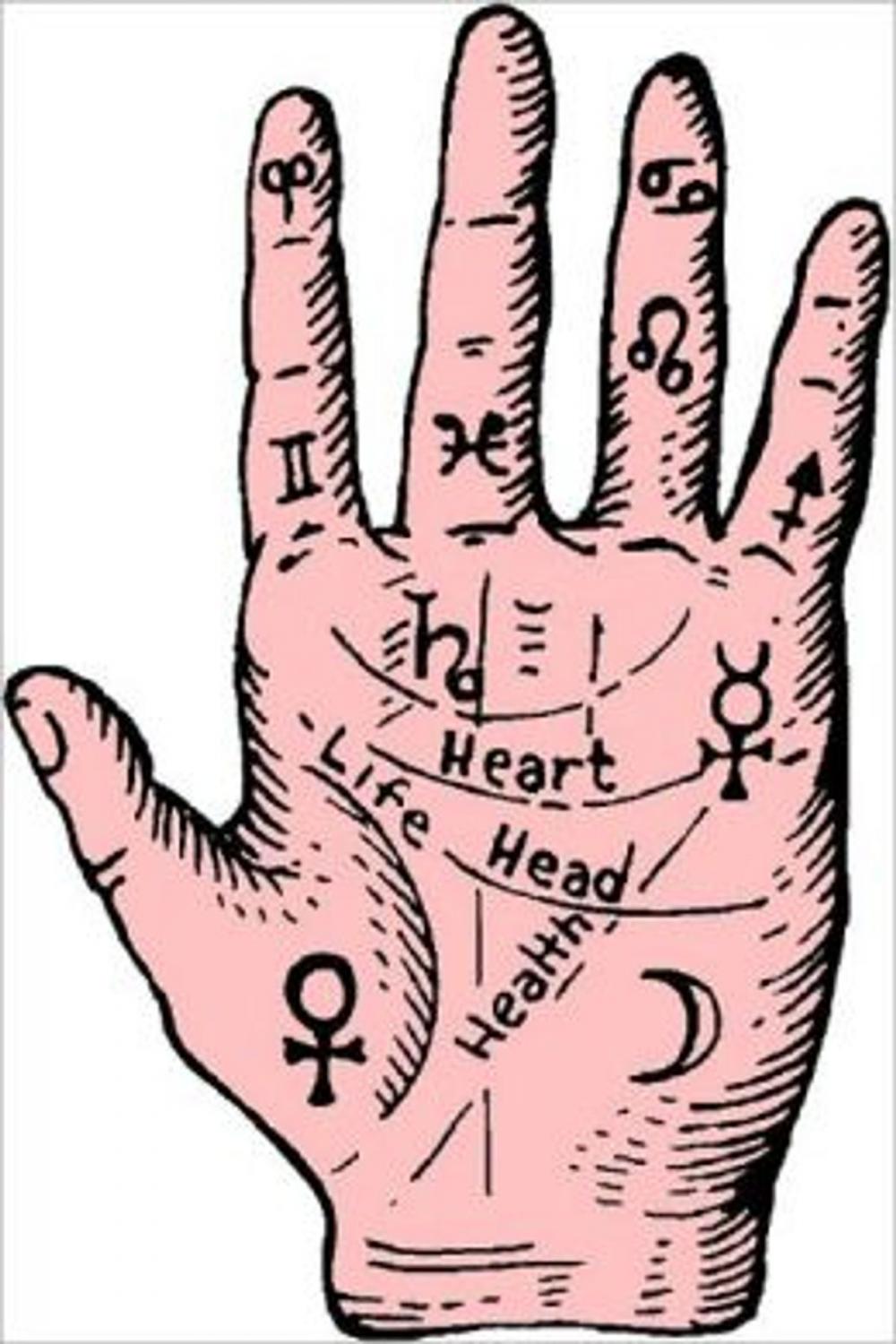 Big bigCover of The Essential Guide to Palmistry For Beginners