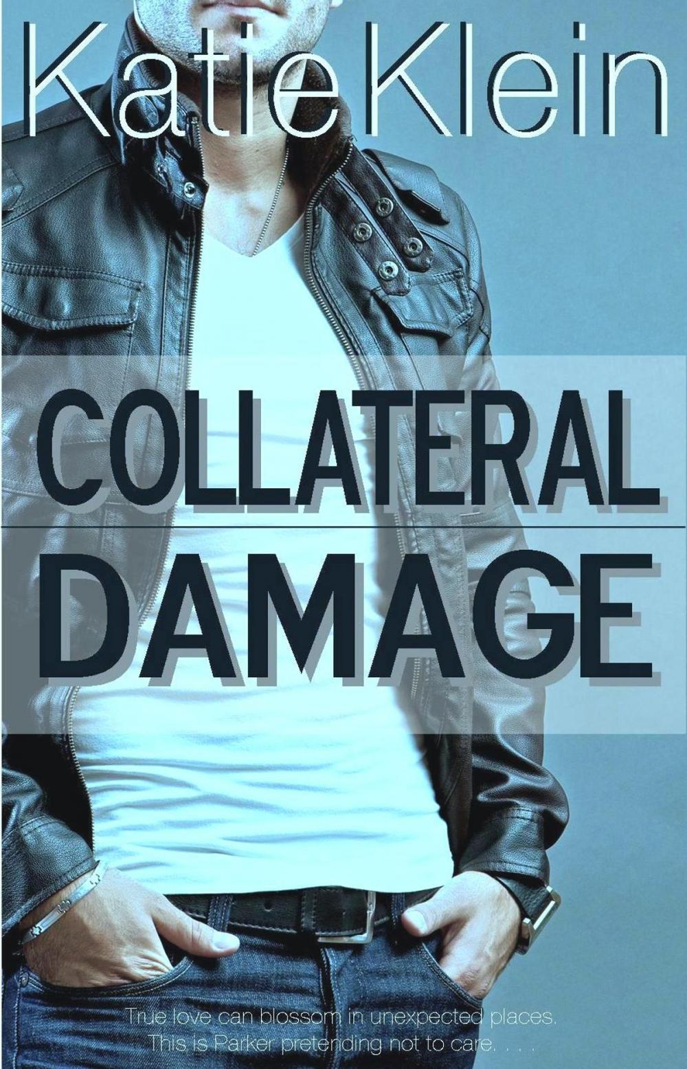 Big bigCover of Collateral Damage