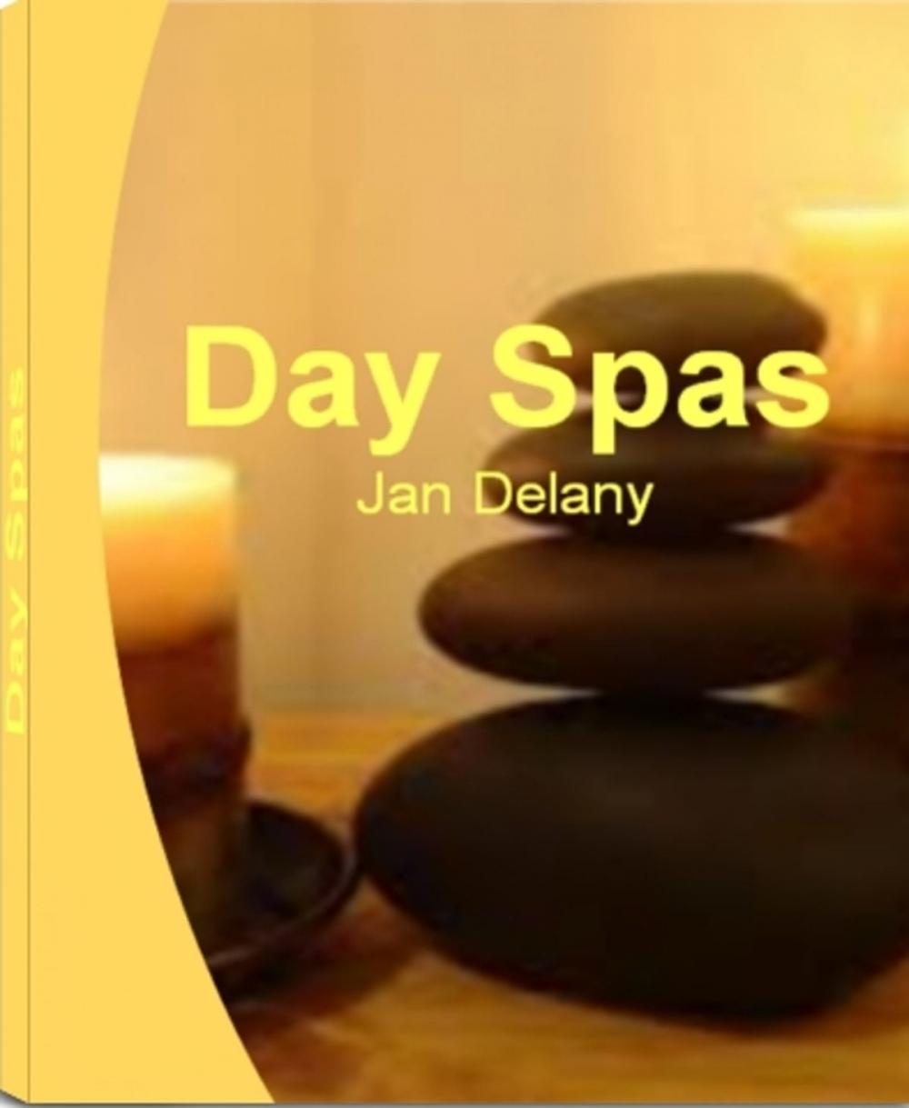 Big bigCover of Day Spas