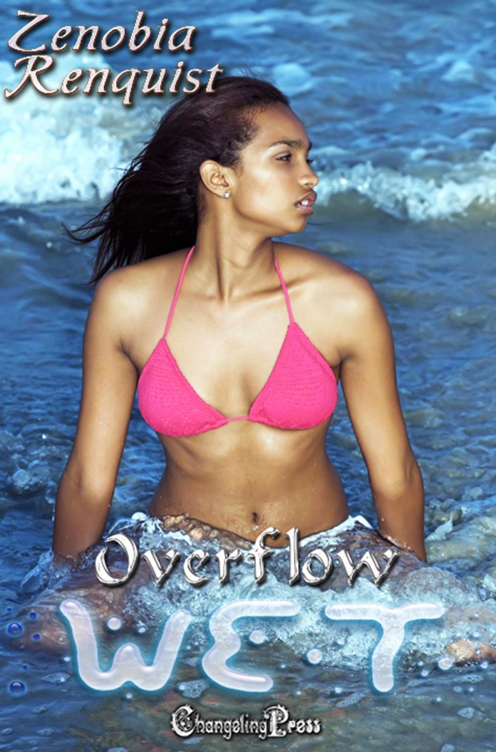 Big bigCover of Overflow (Wet)