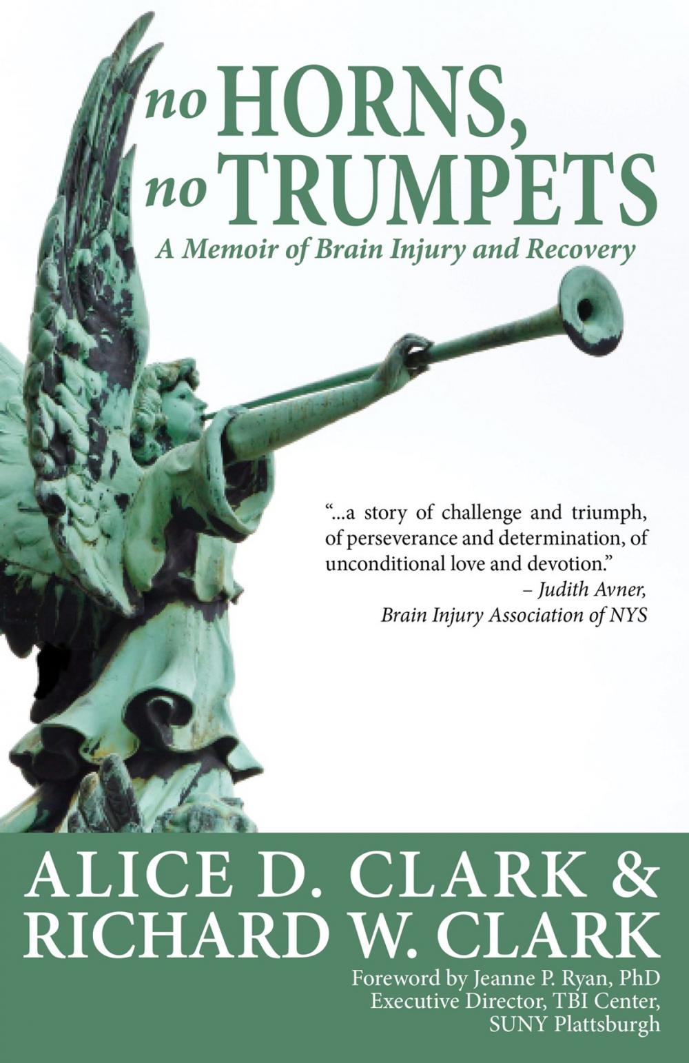 Big bigCover of No Horns, No Trumpets: A Memoir of Brain Injury and Recovery