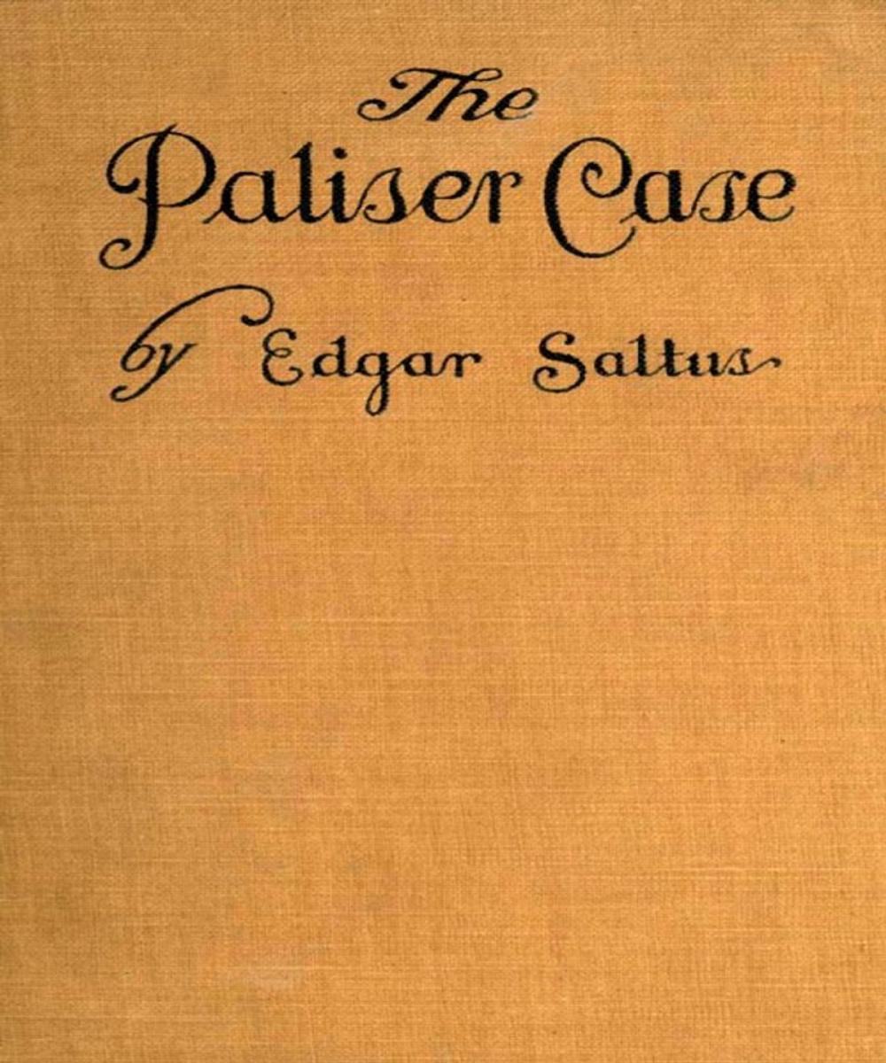 Big bigCover of The Paliser case