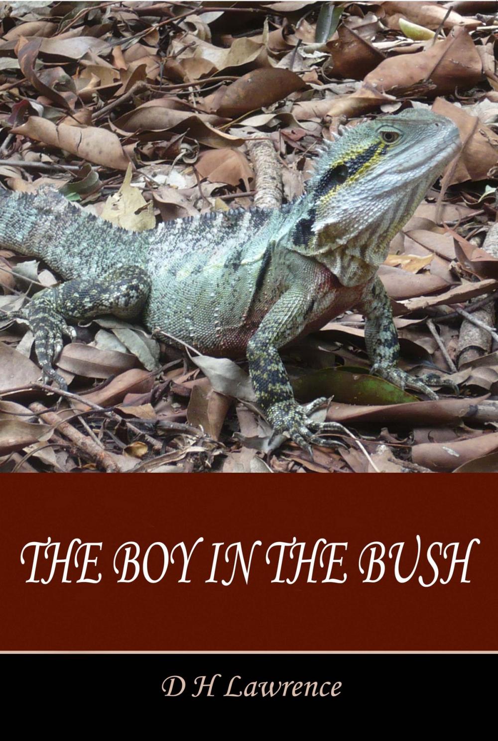 Big bigCover of The Boy in the Bush