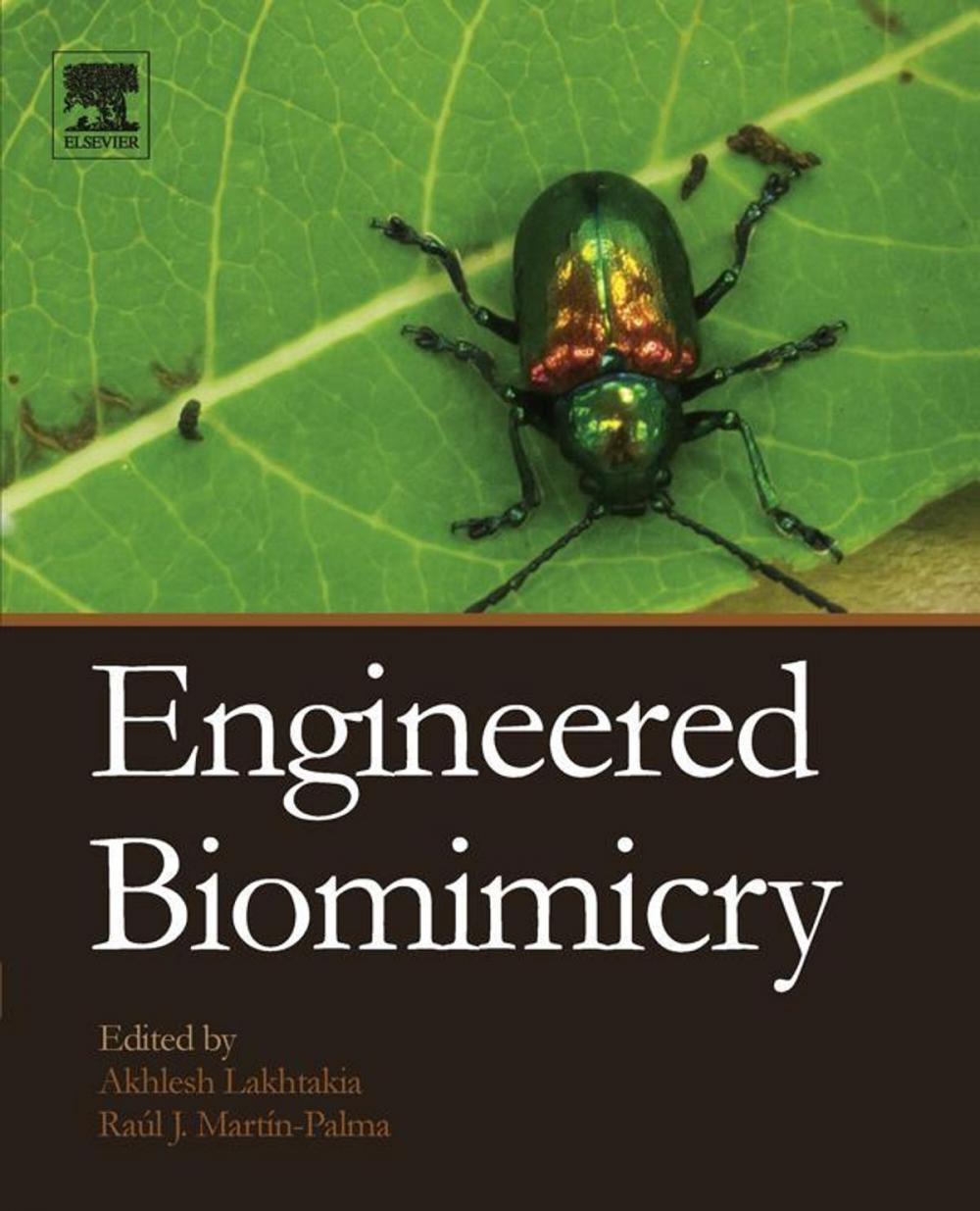 Big bigCover of Engineered Biomimicry